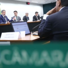 Foto: Vinicius Loures/Câmara dos Deputados